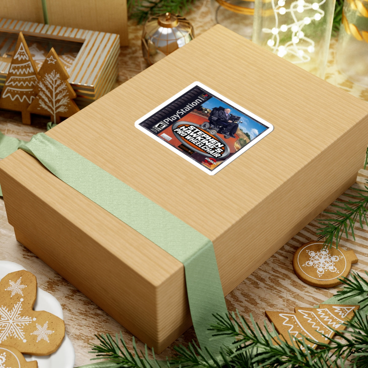 Pro Wheelchair Stickers